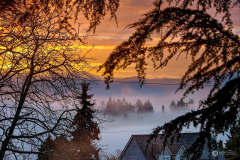 6a49cff535b52d4c1a1ff13383233532-full