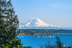 d5e106a049659fa10765740fa6b8b1d4-full