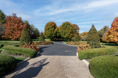 ee4e581d9dae28e7a0642e78f11261da-full