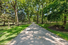 d9075e5e33bece56ad289ae3016f329e-full