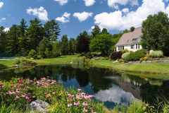 a5c728523404b9dbc38300c2c186b073-full