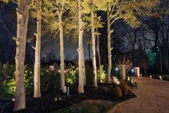 e87a8260d04c6380d758ccaf184e49f3-full